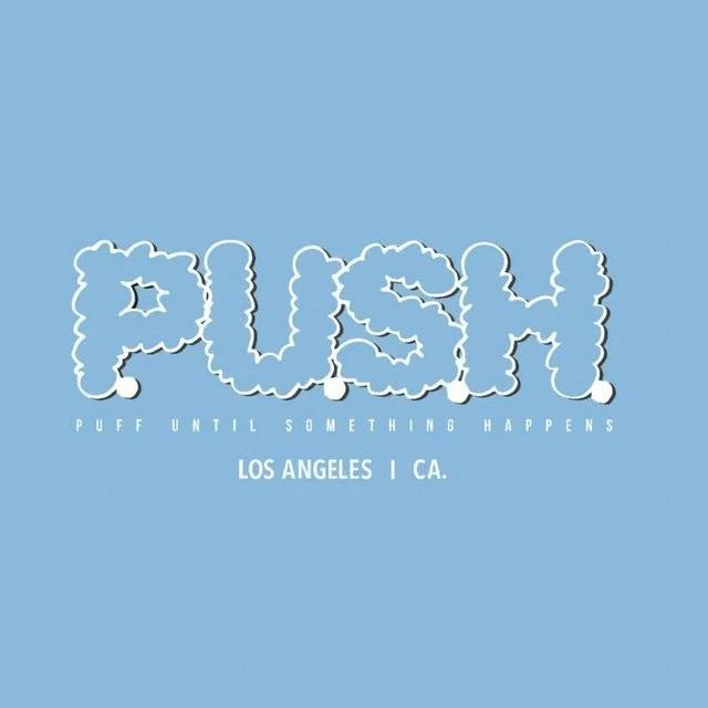 P.U.S.H.- Blueberry Gelato AIO 1g (I)