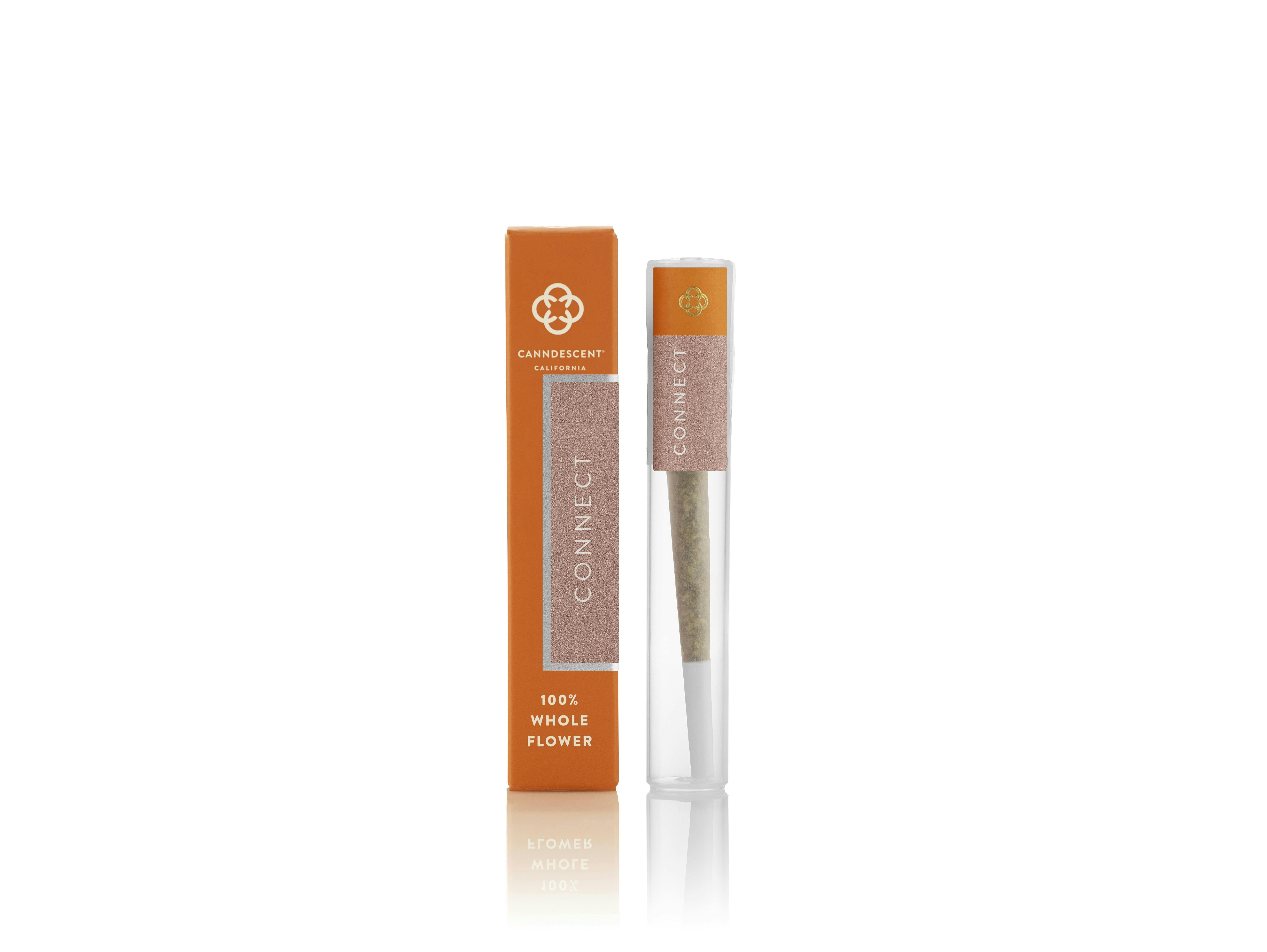 Canndescent- Connect (Citrus Carnival) Preroll 1g (S)