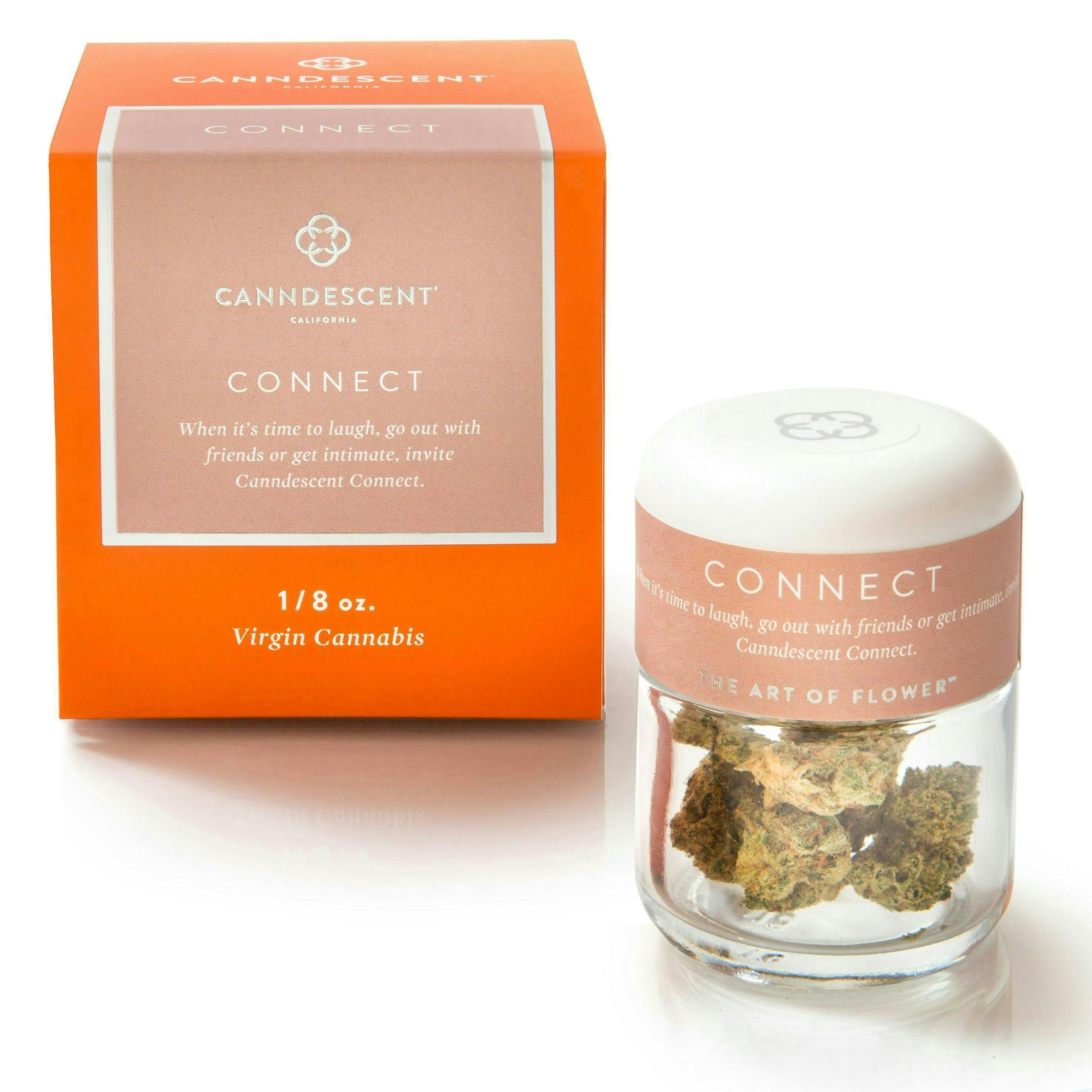 Canndescent- Connect (Citrus Carnival) 3.5g (S)