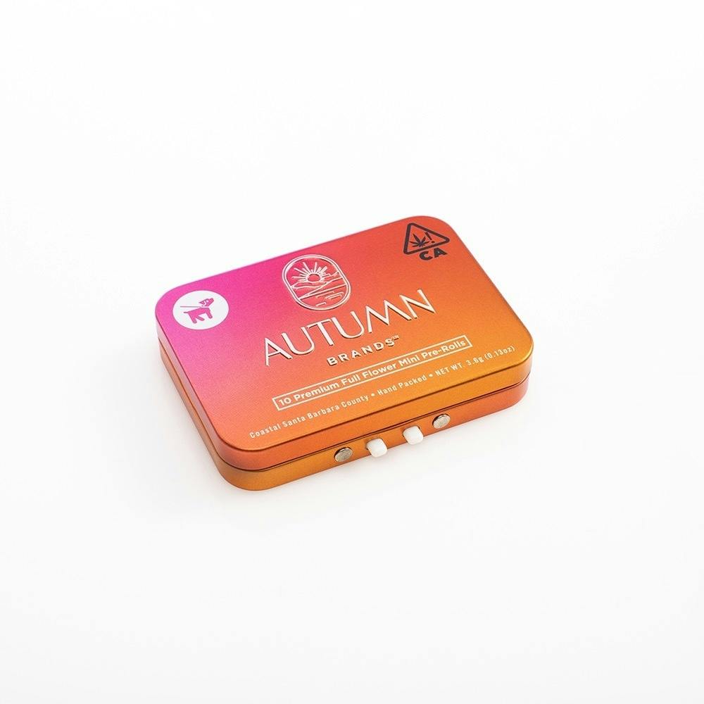 Autumn Brands- Kinda Chic Mini Prerolls 10pk 3.6g (H)