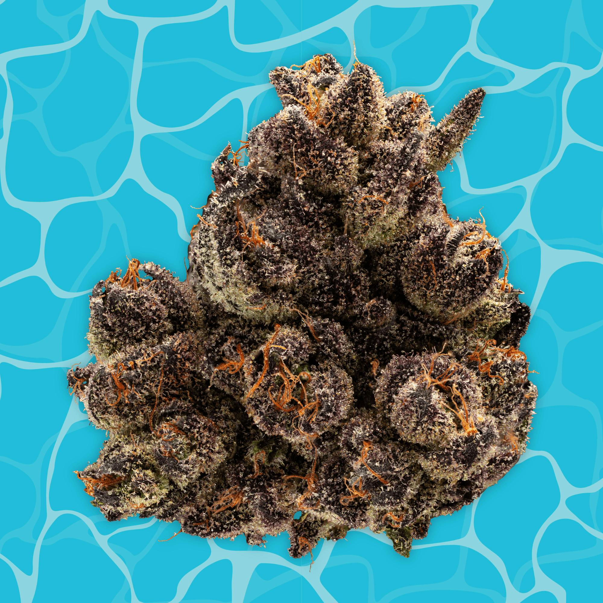 Gas Light (3.5g)