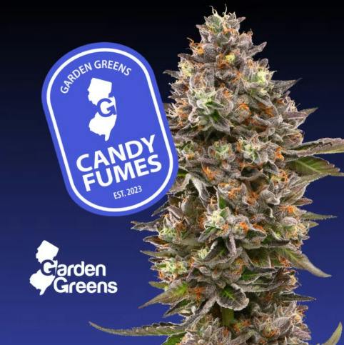 Garden Greens | Candy Fumes I