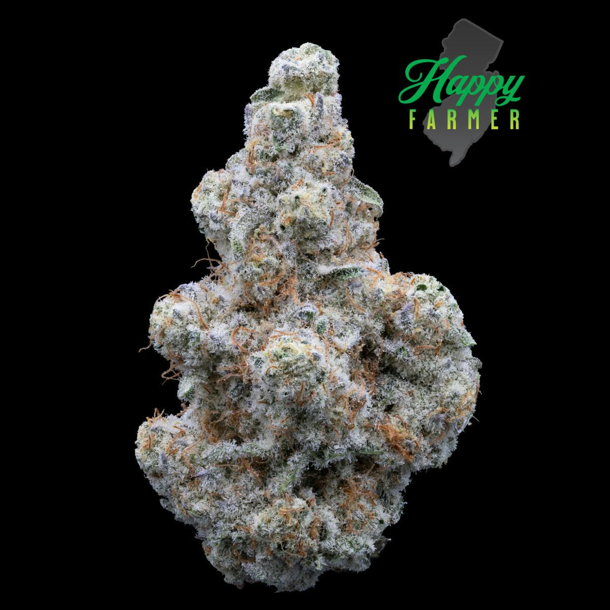 Happy Farmer | Deluxe Sugar Cane
