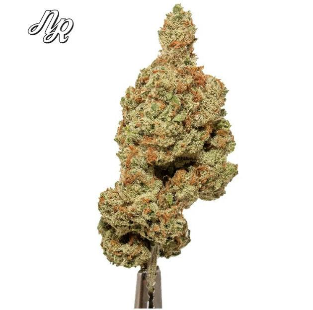 Super Lemon Haze-(S)-Bulk-Natty Rems
