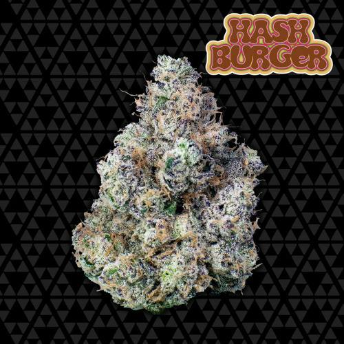 Fractal Cannabis Flower Hash Burger