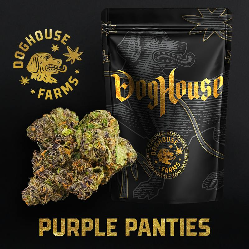 DogHouse Flower Purple Panties
