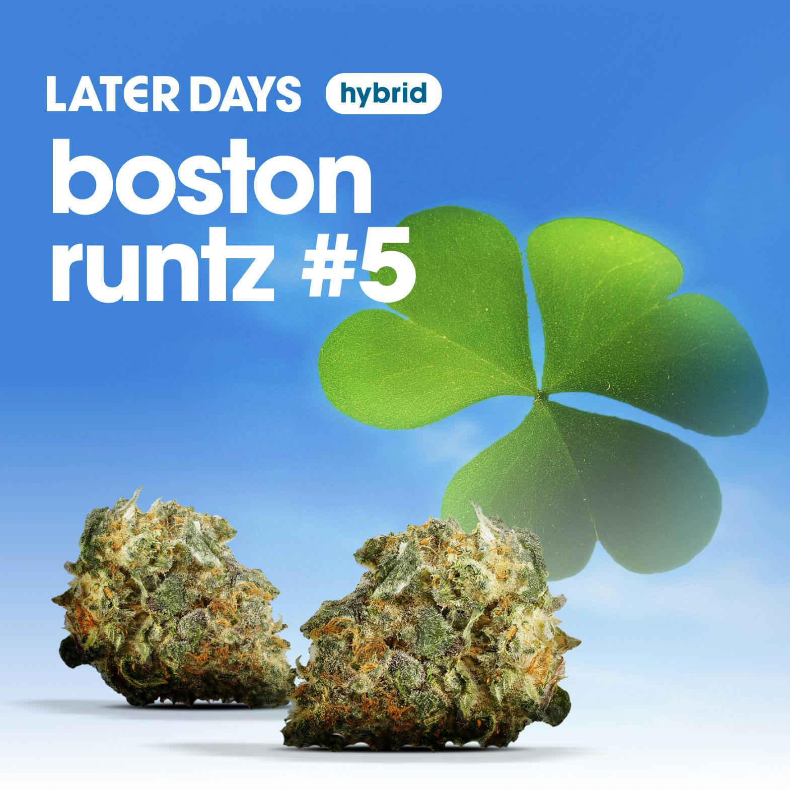 Boston Runtz #5 Smalls