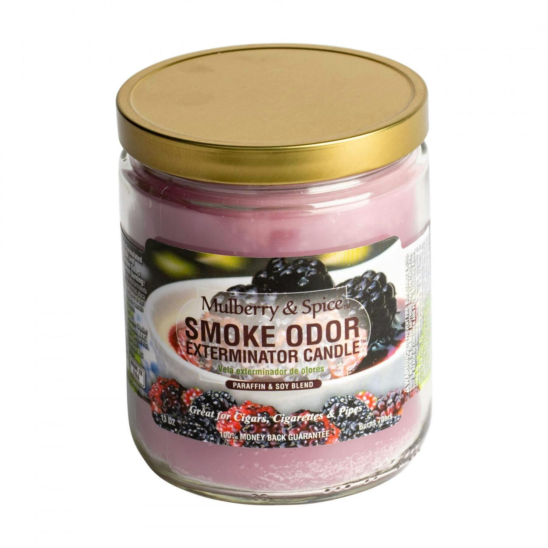 Mulberry & Spice Smoke Odor Exterminator Candle