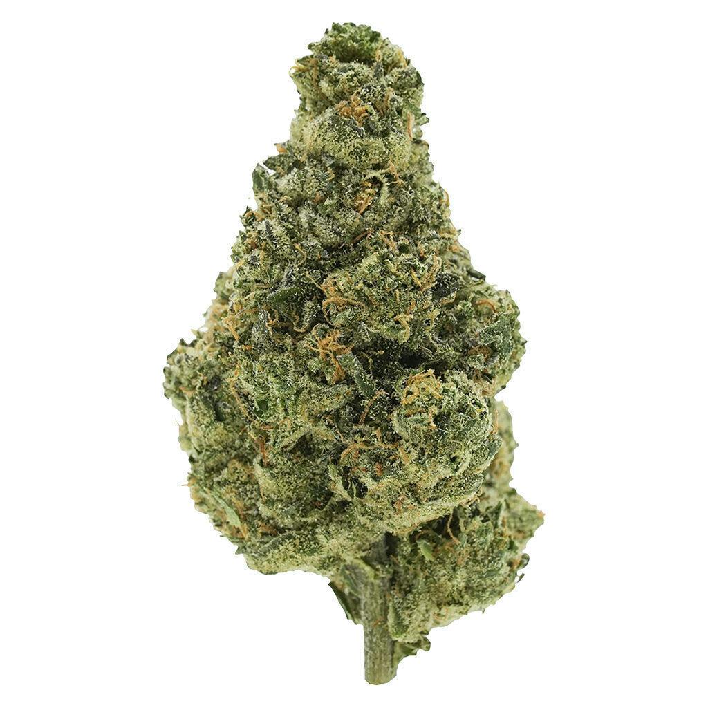 BC Organic Lime Drizzle 28g - Simply Bare - Indica