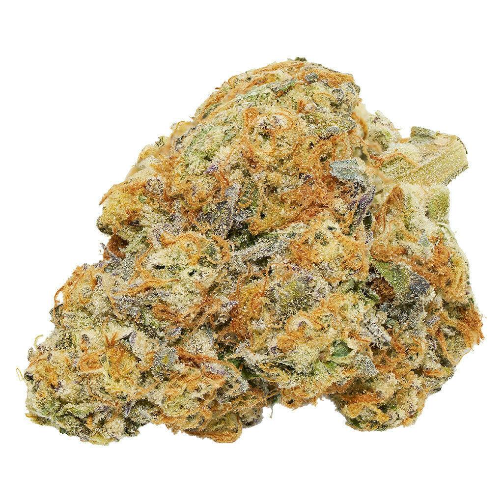 Morning Sun 7g - Qwest - Indica