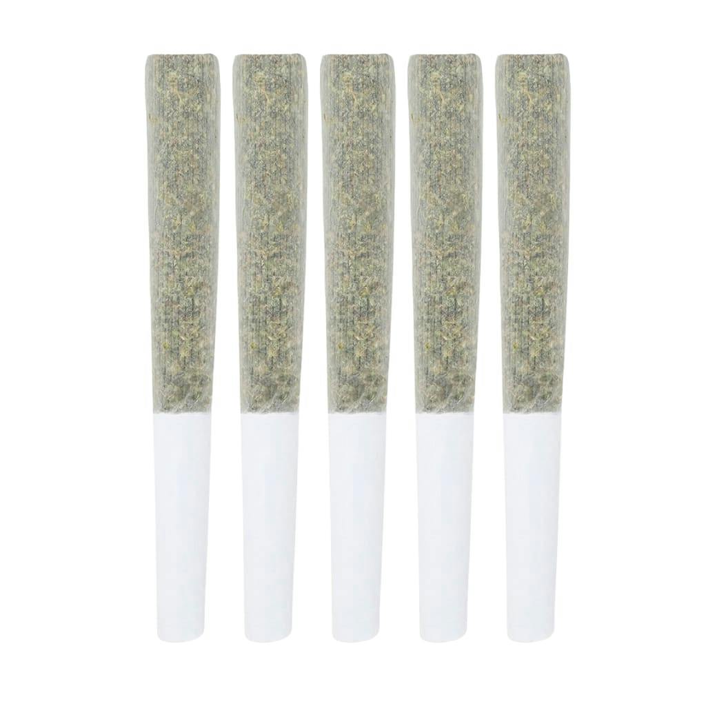 Black Cheese Pre-Roll 5x0.5g - 3rd Coast Genetics - Sativa