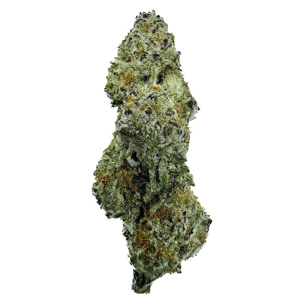 Rotational Selection OZ 28g - Hazo / CC Select - Hybrid