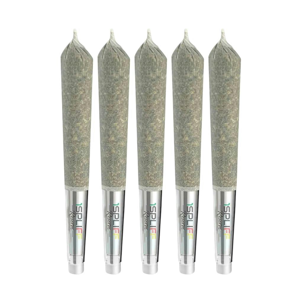 Quantum Kush Premium Glass Tip Pre-Roll 5x0.5g - 1Spliff - Sativa