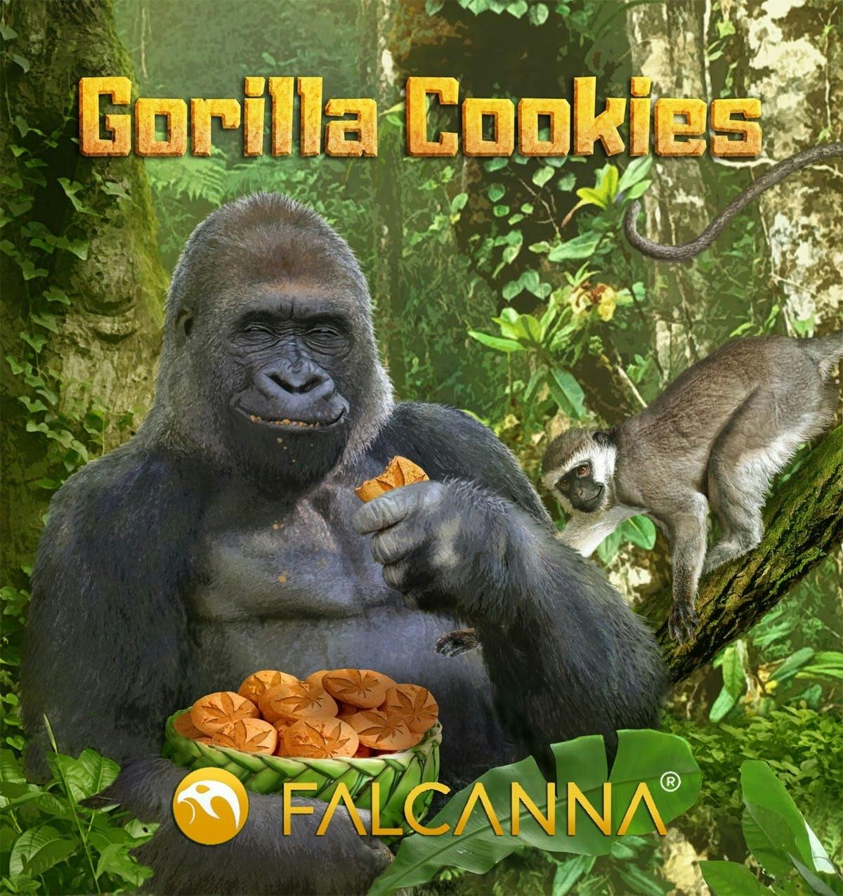 Falcanna Gorilla Cookies (H) Gold Wax 1g by Falcanna