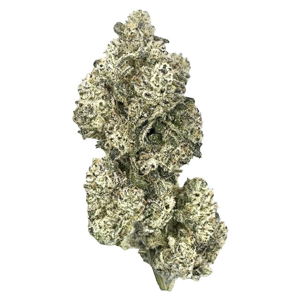 HighXotic - Royal Dive#5: Purple Zombie