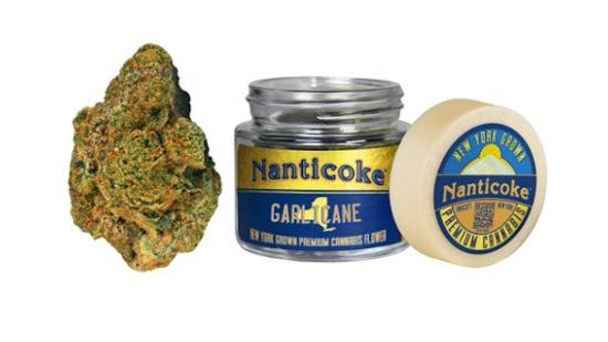 Nanticoke | Garlicane | Flower