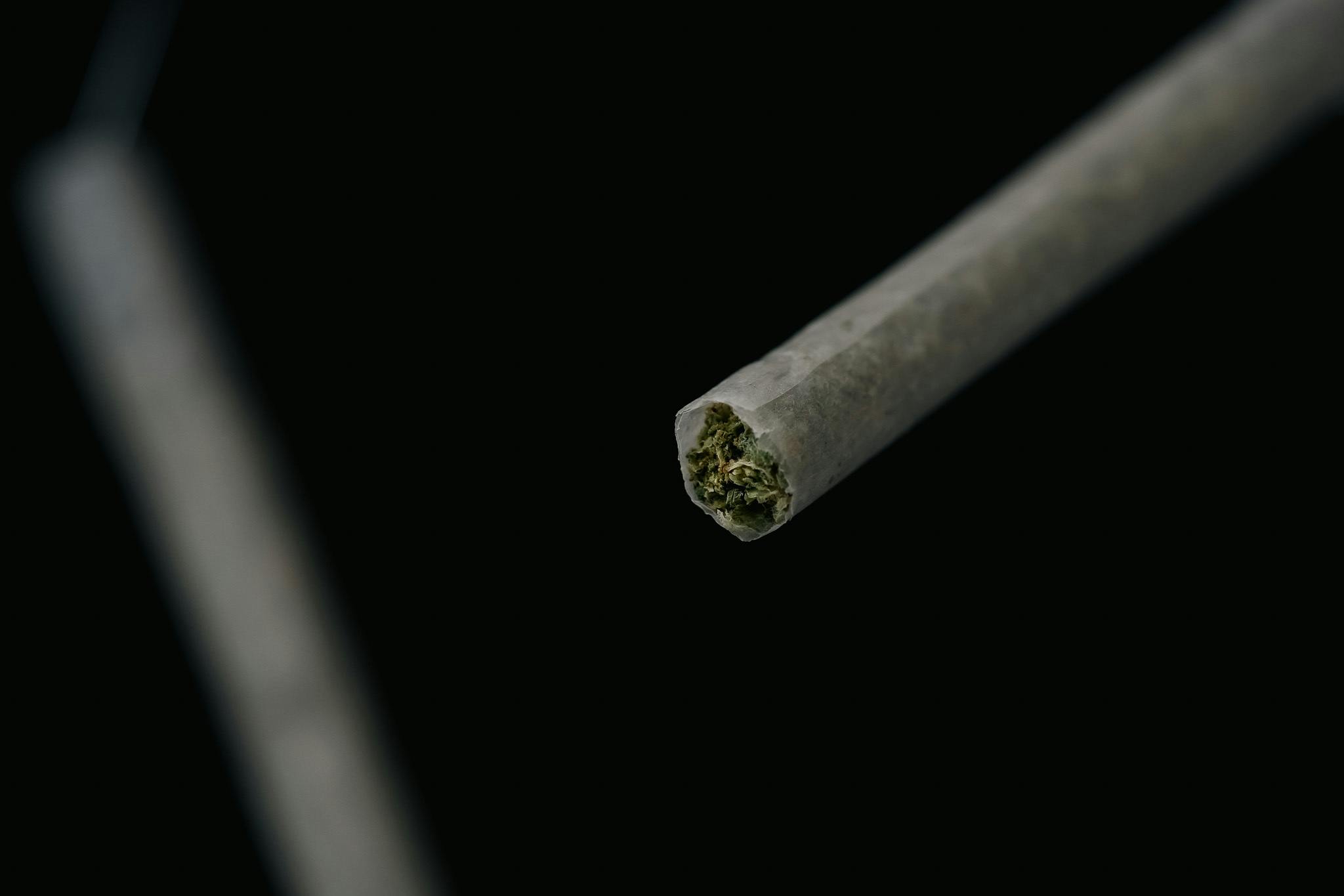 Sundae Co. Watermelon Gelato Pre-Roll Multipack 0.5g 2pk