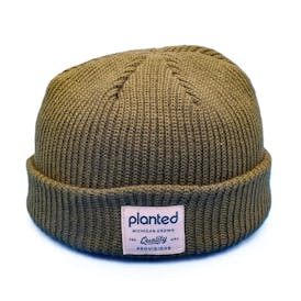 Wear-Planted | Beanie | Knit Cuff Green