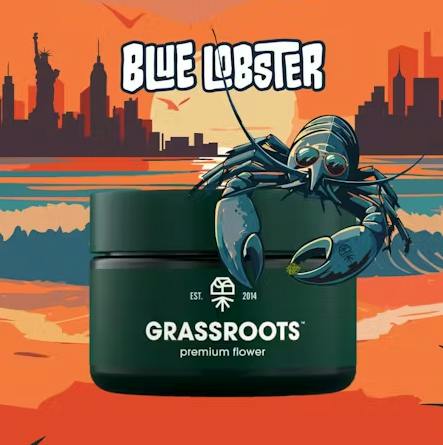 Grassroots - Flower - Blue Lobster -3.5g