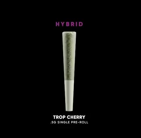 Sacci Trop Cherry