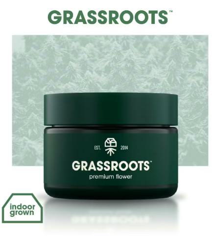 Grassroots - Flower - Papaya Drip - 3.5g