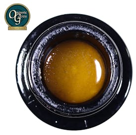 Amber Valley Sugar Mimosa 1 G