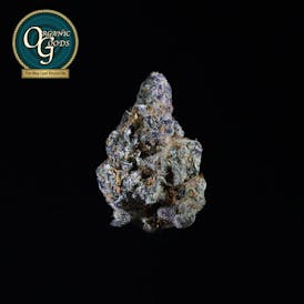 Glitter Bomb cultivated by Armonice Botanicals