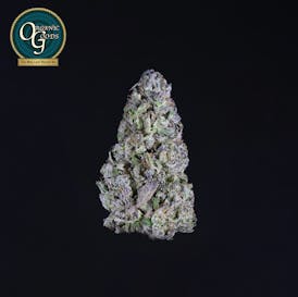 Jealousy cultivated by Iron Lung