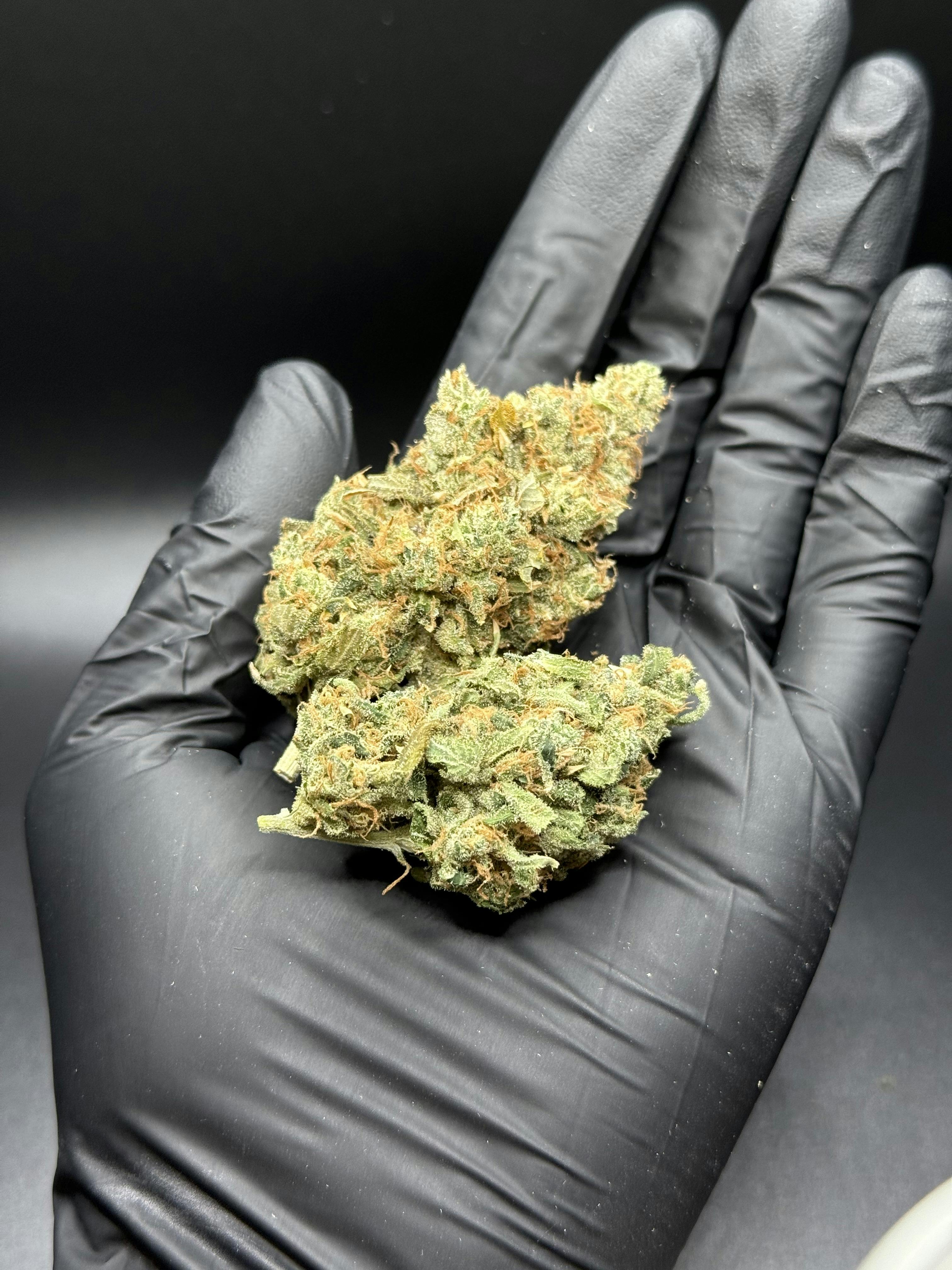 Sour Diesel x GMODD