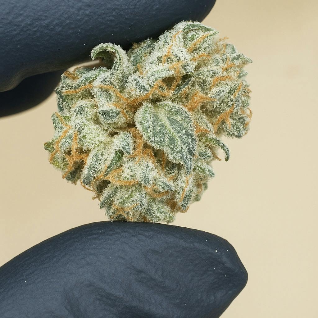 Pure Bliss GG #4