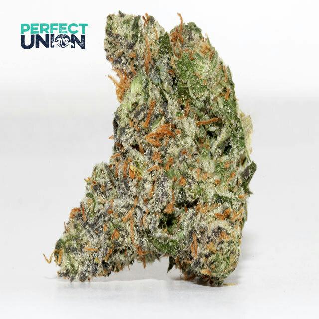 GREASE MONKEY 3.5G