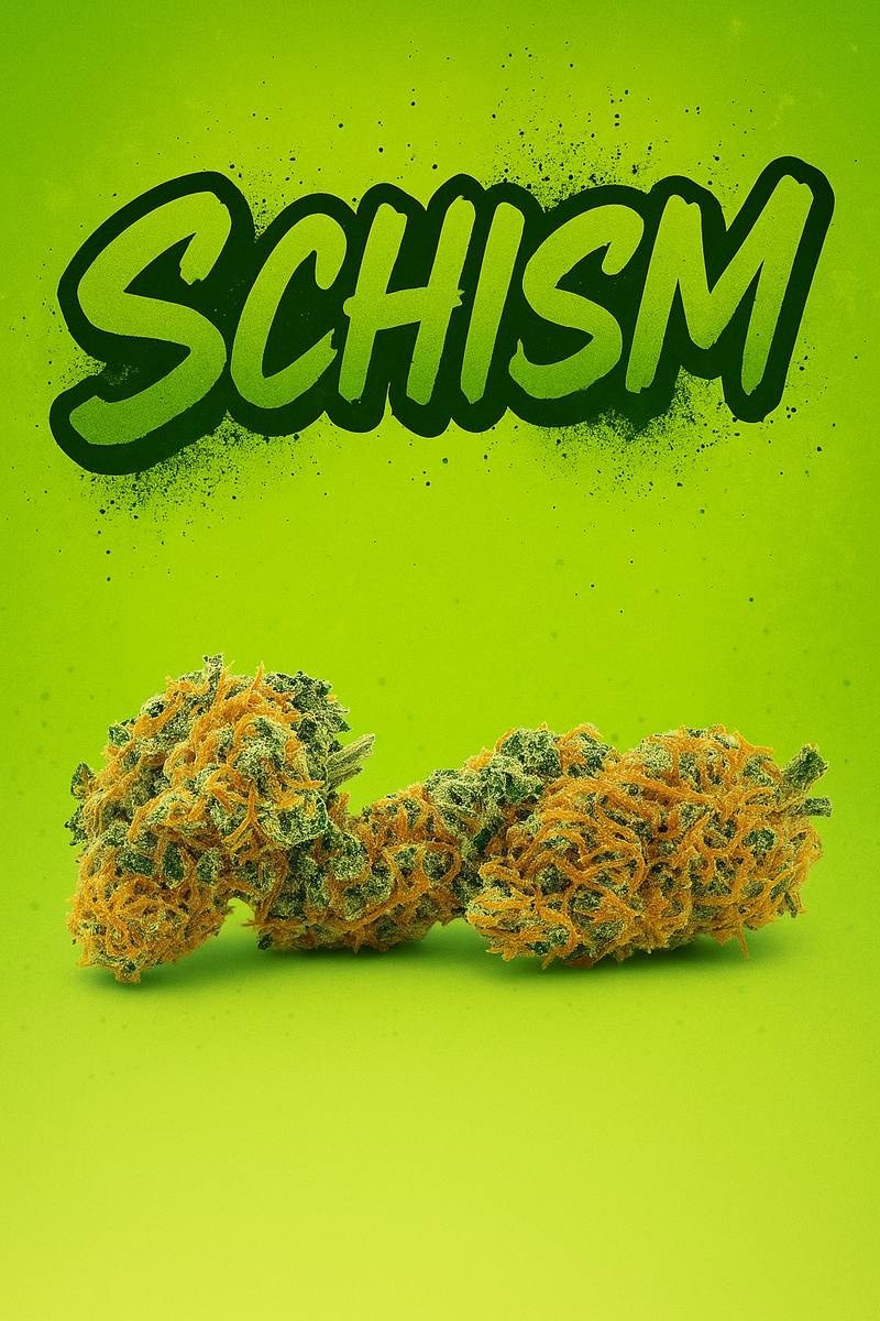 Tier 1 - Schism -