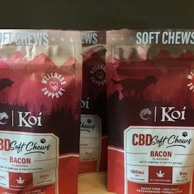 Koi - Dog Treats | 30 pk - CBD ast. flavors
