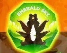 Emerald Sky - Sleep Indica Milk Chocolate PB Cups 1:1:1 THC/CBNCBD| 100mg