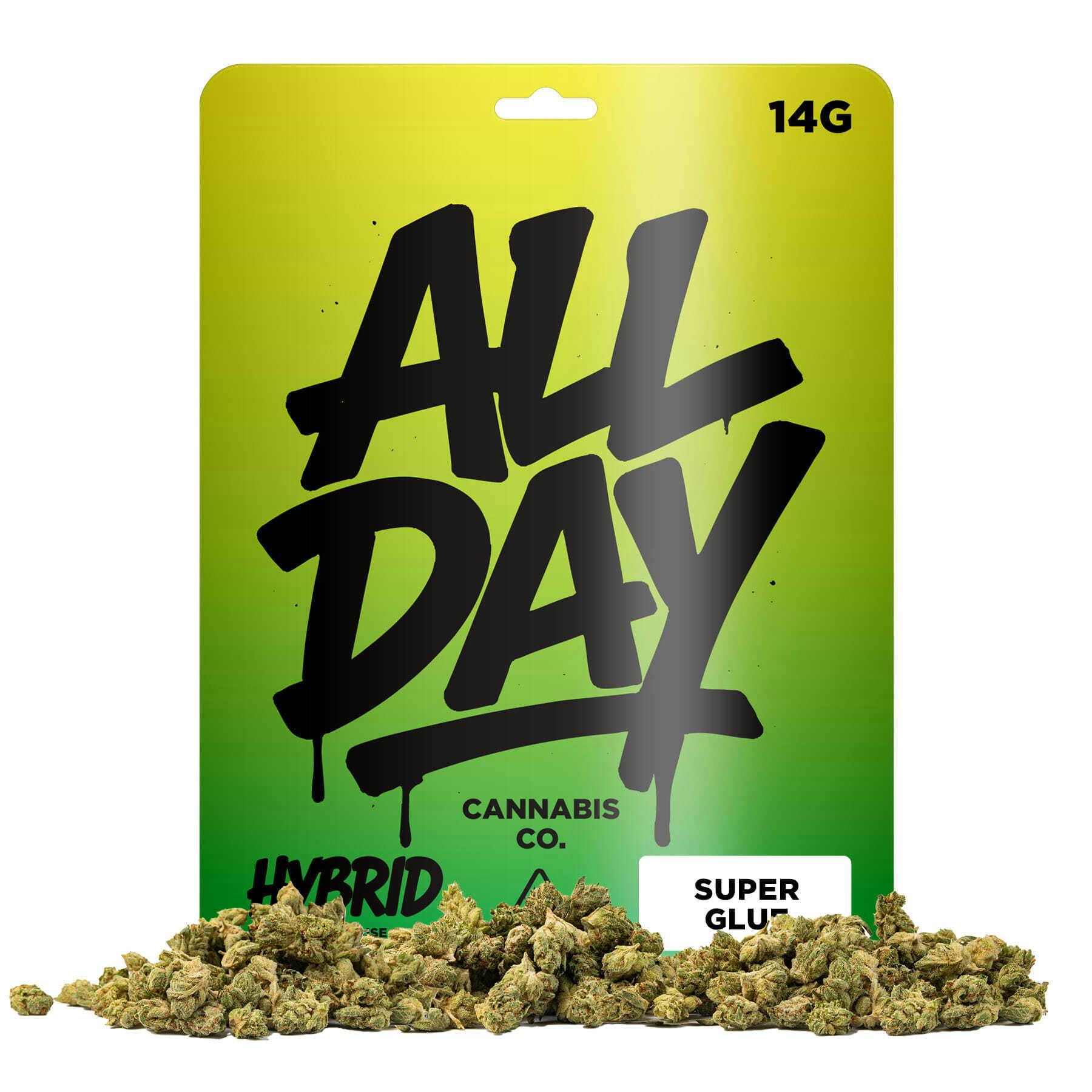 All Day - Super Glue: 14 Items