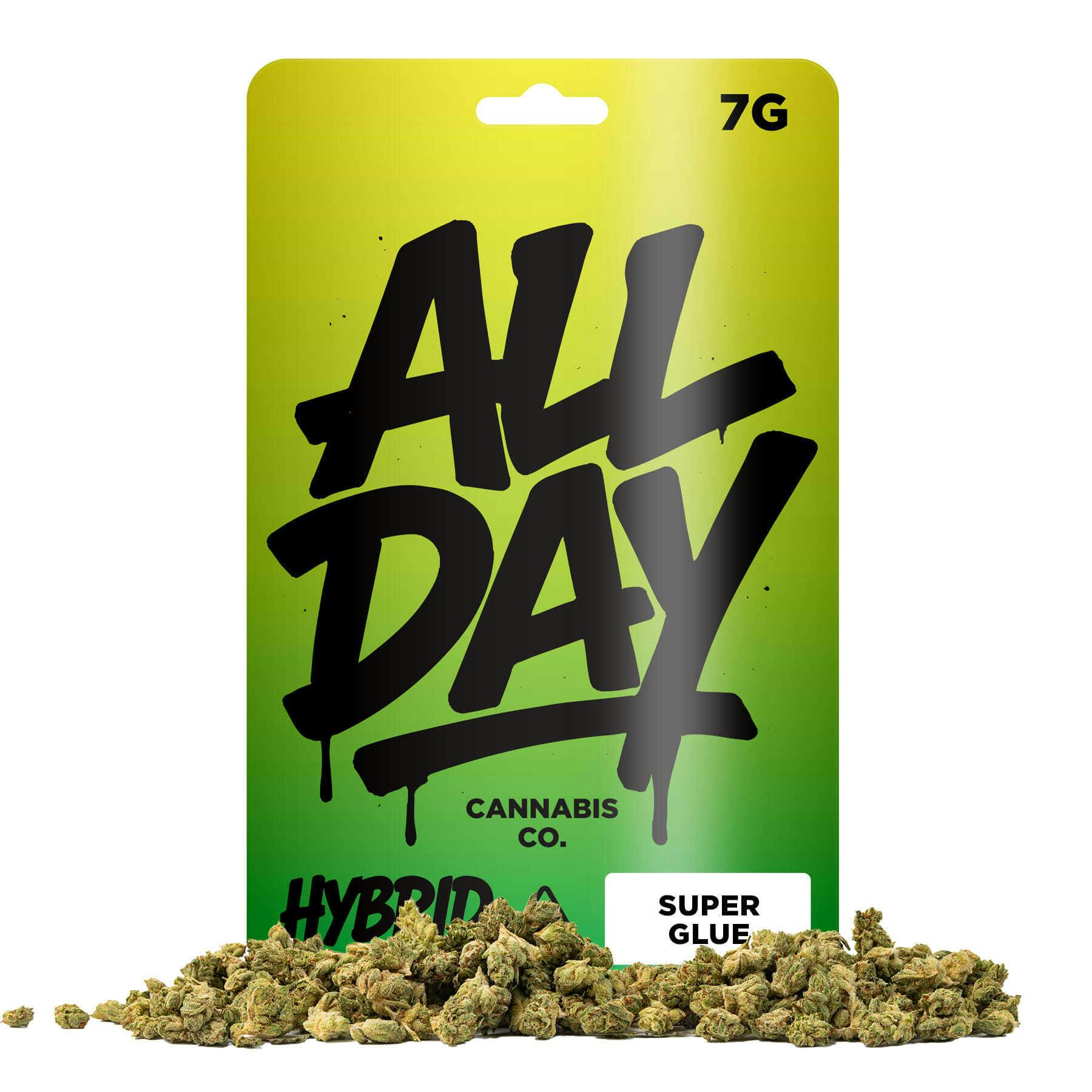 All Day - Super Glue: 1 Item