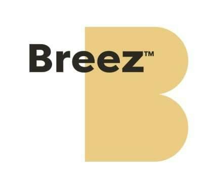 Breez - Royal Mint Hybrid Tin | 100mg Mints