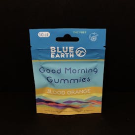 CBD Goodnight Gummies - Blackberry 10ct