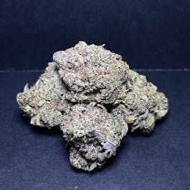 Lilac Diesel Bud