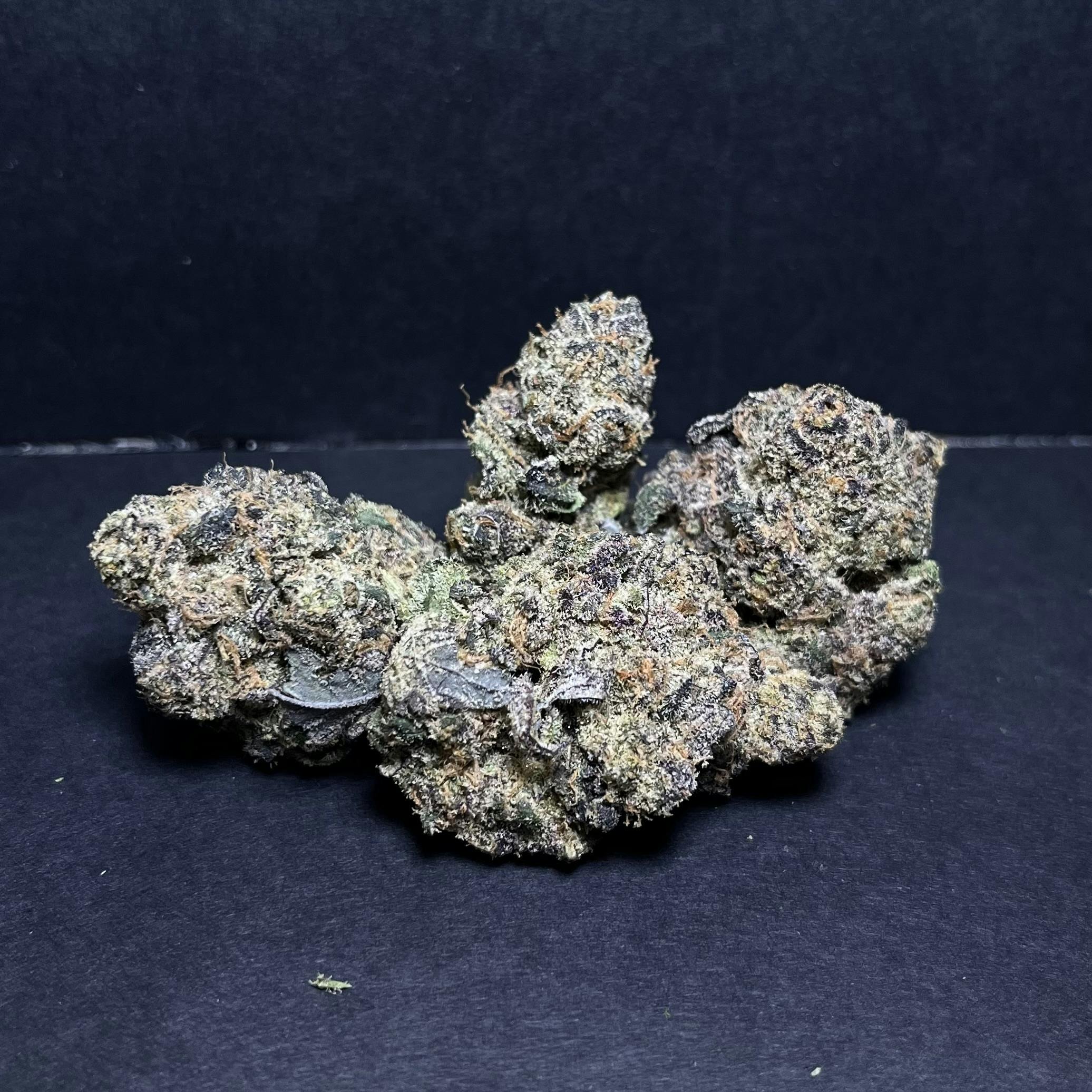 Black Petronus Bud