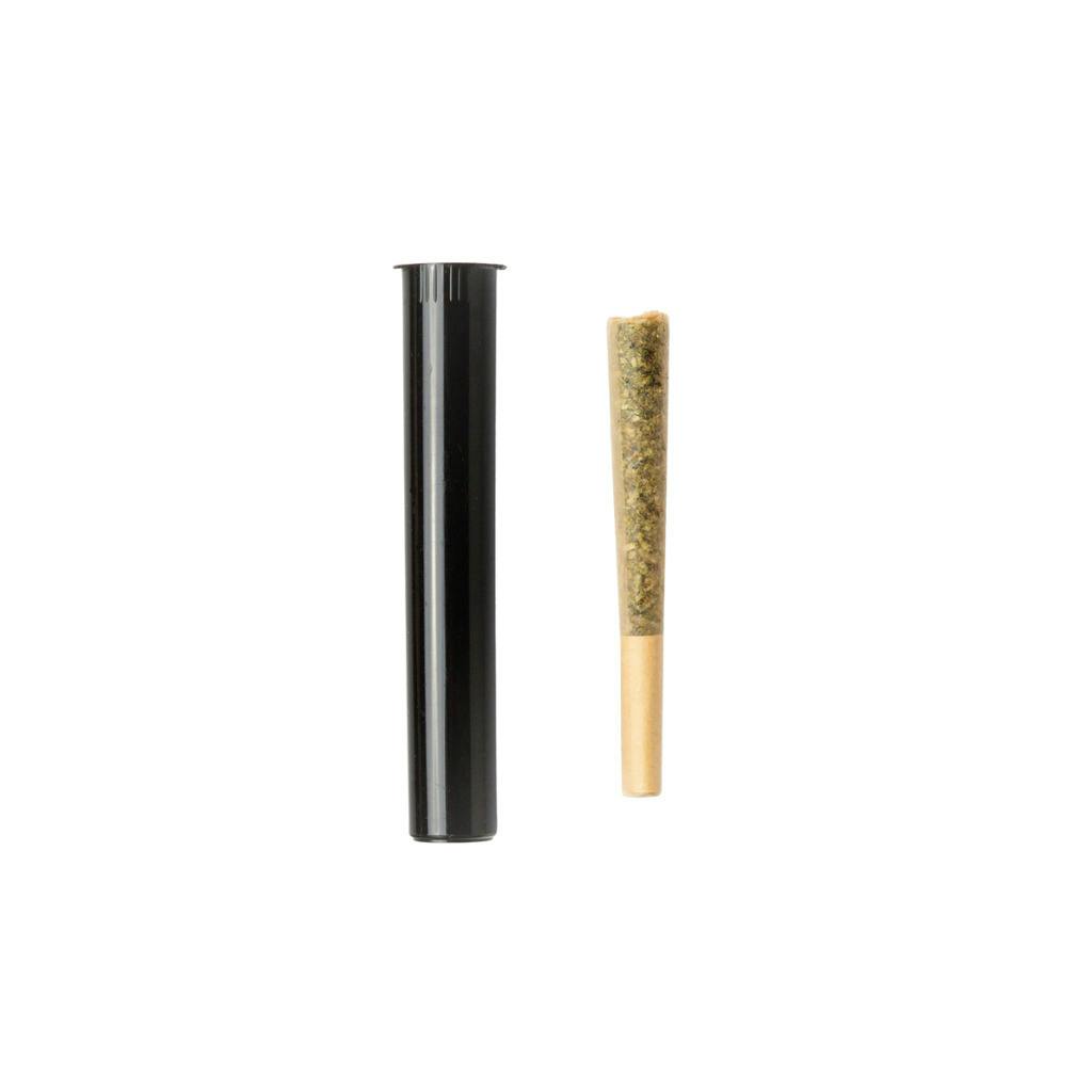 Clout King Clout Berriez (H) Pre-Roll