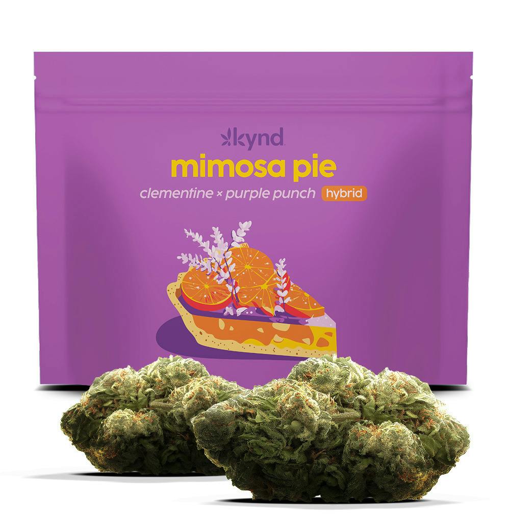 Kynd Mimosa Pie (H) Flower