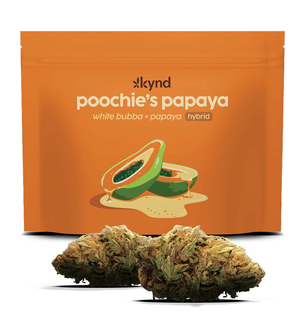 Kynd Poochie's Papaya (S) Flower