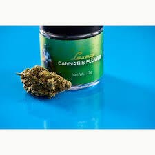 LP Exotics Dosi Boof (H) Flower