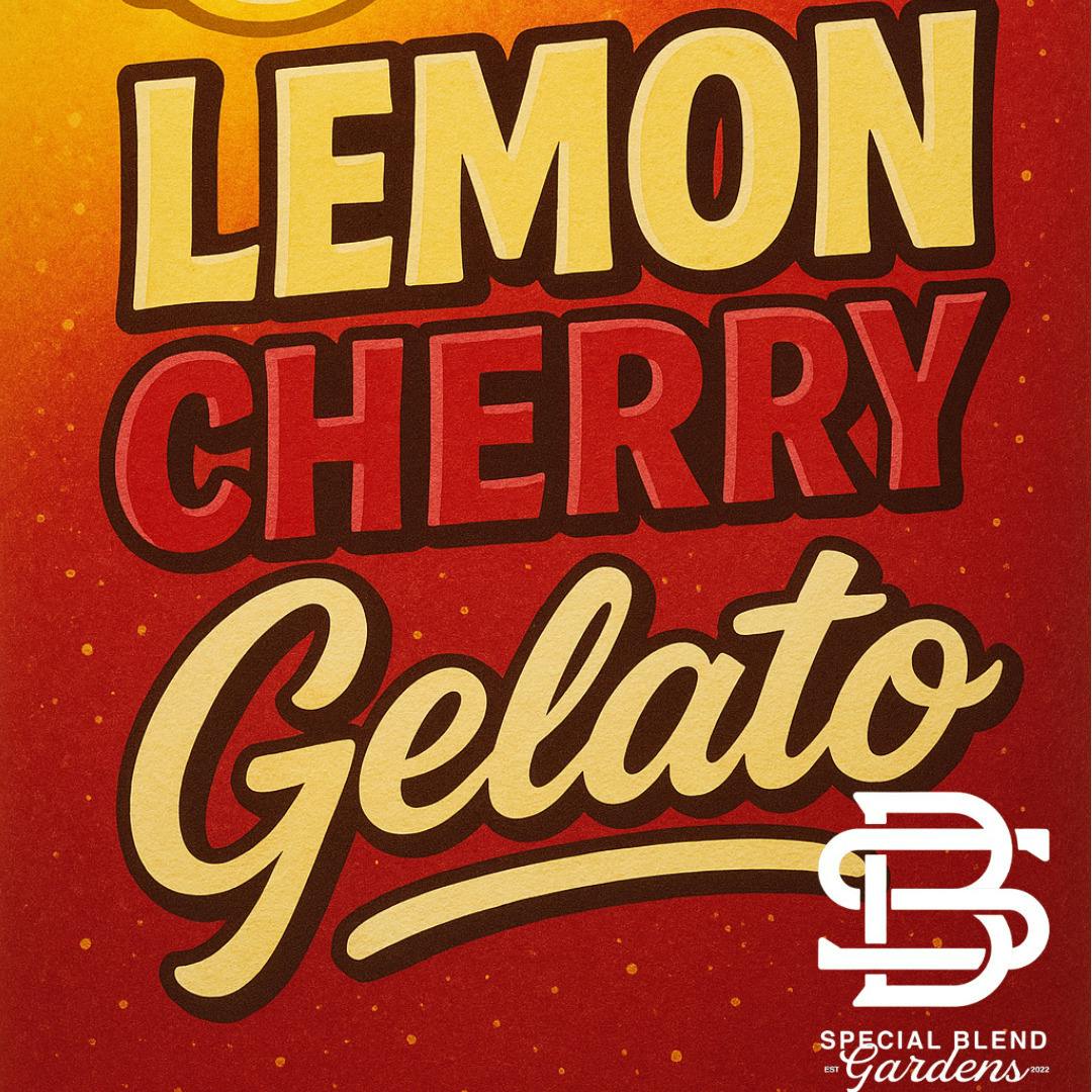 Special Blend - Deli - Lemon Cherry Gelato