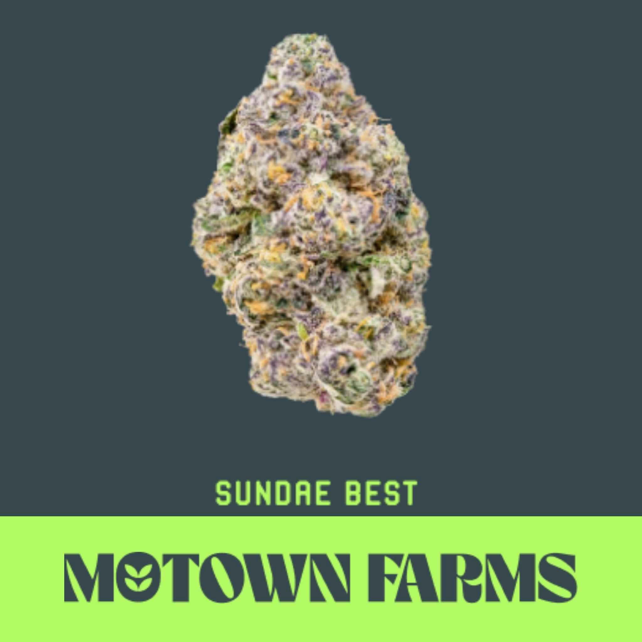 Motown Farms Sundae Best