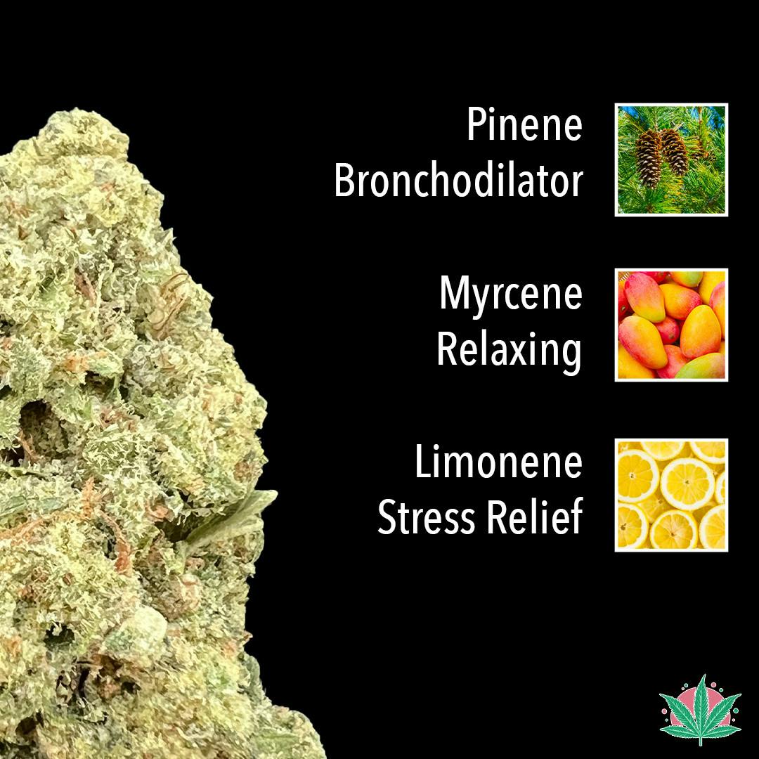 Kandied Apple Kush