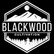 Blackwood : Sour Saunders Live Resin