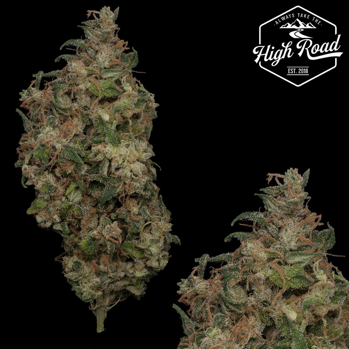 High Road : Ghost Lemon Haze