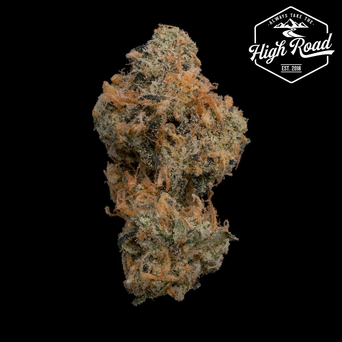 High Road : Cactidos